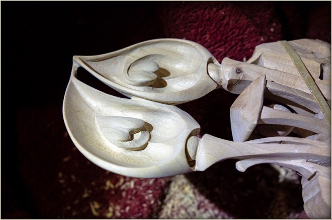 dsc08118 dd mm yy (date)d_1 800w