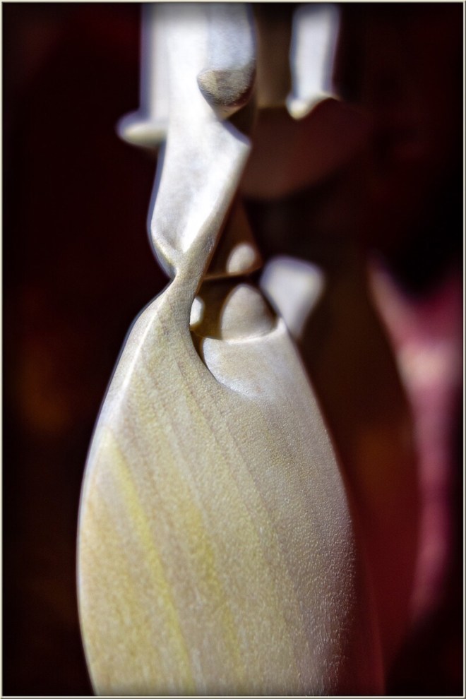 dsc08122 dd mm yy (date)g 800w