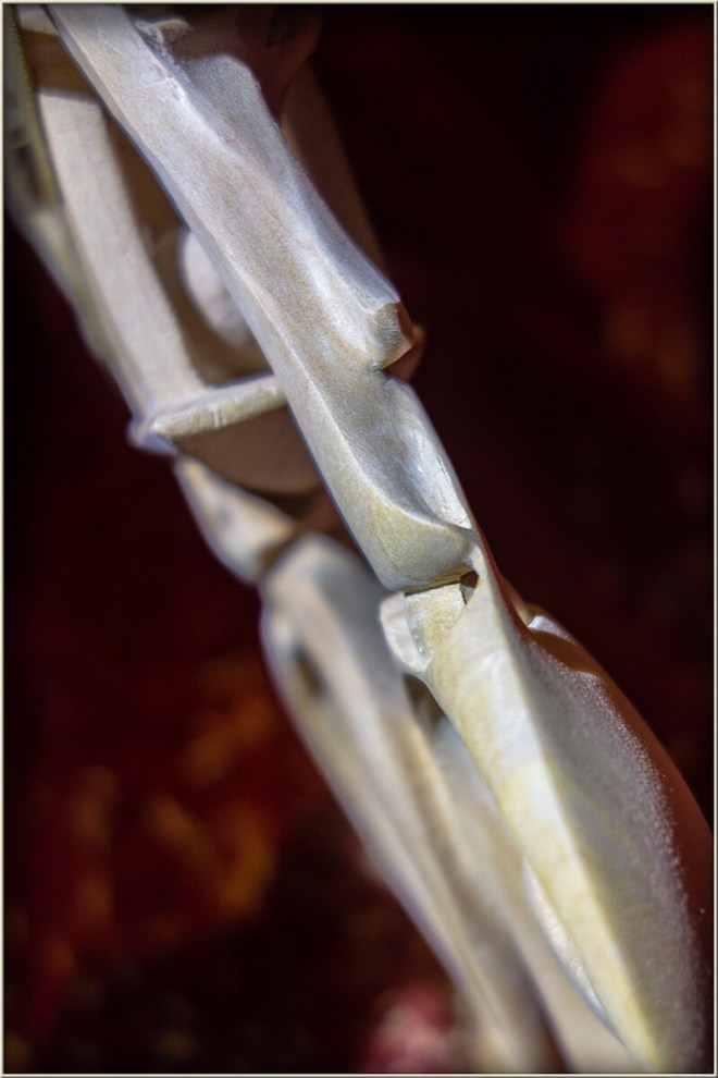 dsc08123 dd mm yy (date)h 800w